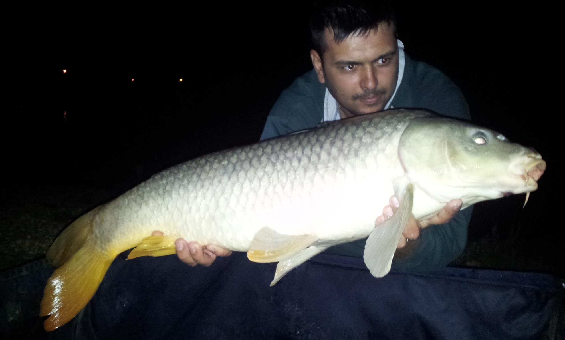 Hermes Peris 5 - 6 septembrie 2014 - 20140906023330.jpg